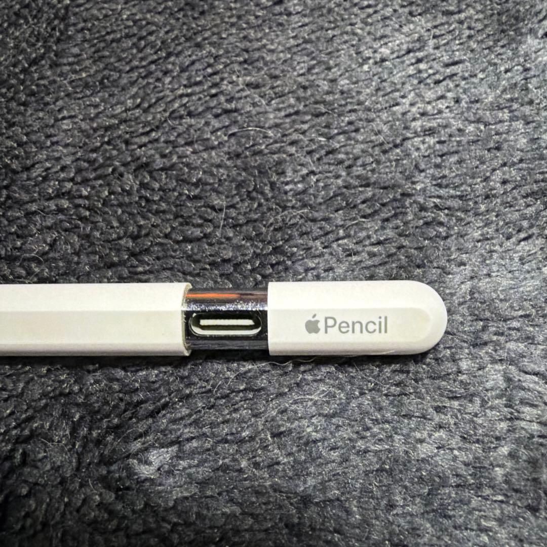 iPadアクセサリー Apple Pencil(USB-C)
