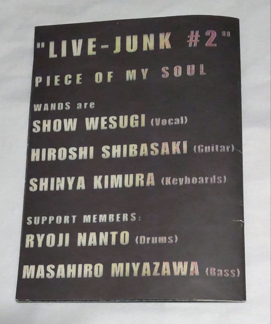 WANDS PIECE OF MY SOUL LIVE-JUNK #2 限定希少
