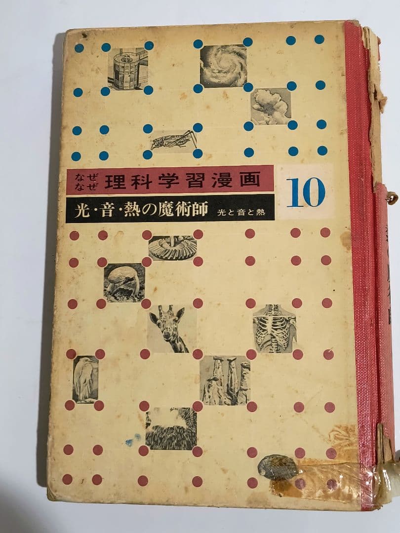 理系脳？「なぜなぜ理科学習漫画」シリーズ　全12巻中11巻 (第4巻が欠落)