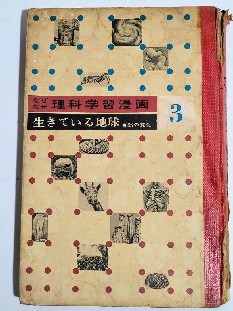 理系脳？「なぜなぜ理科学習漫画」シリーズ　全12巻中11巻 (第4巻が欠落)