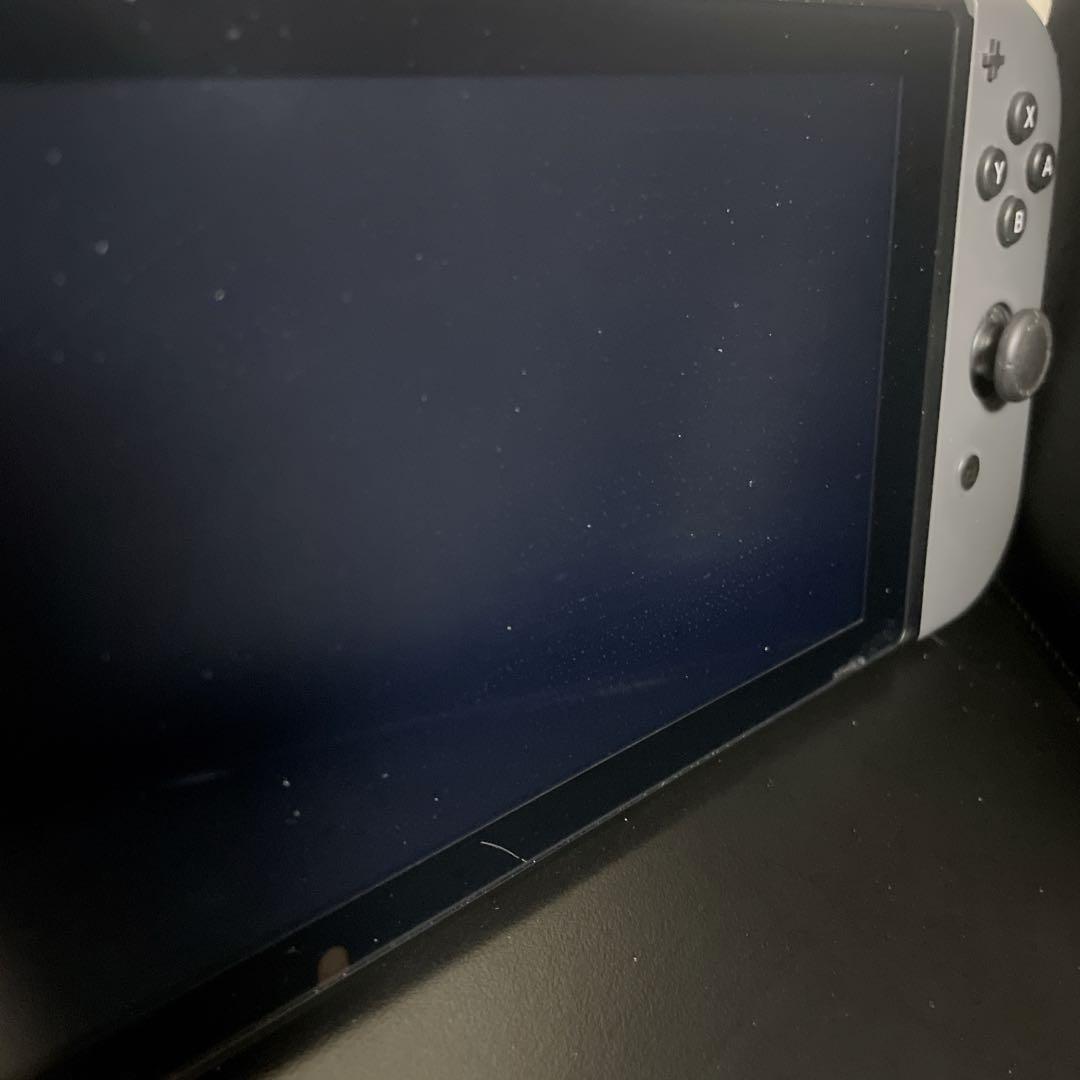 任天堂 Nintendo Switch 本体 グレー / 付属品セット