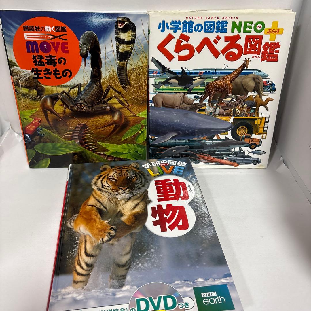 図鑑　13冊セット 図鑑neo 小学館　プレneo 特典付き