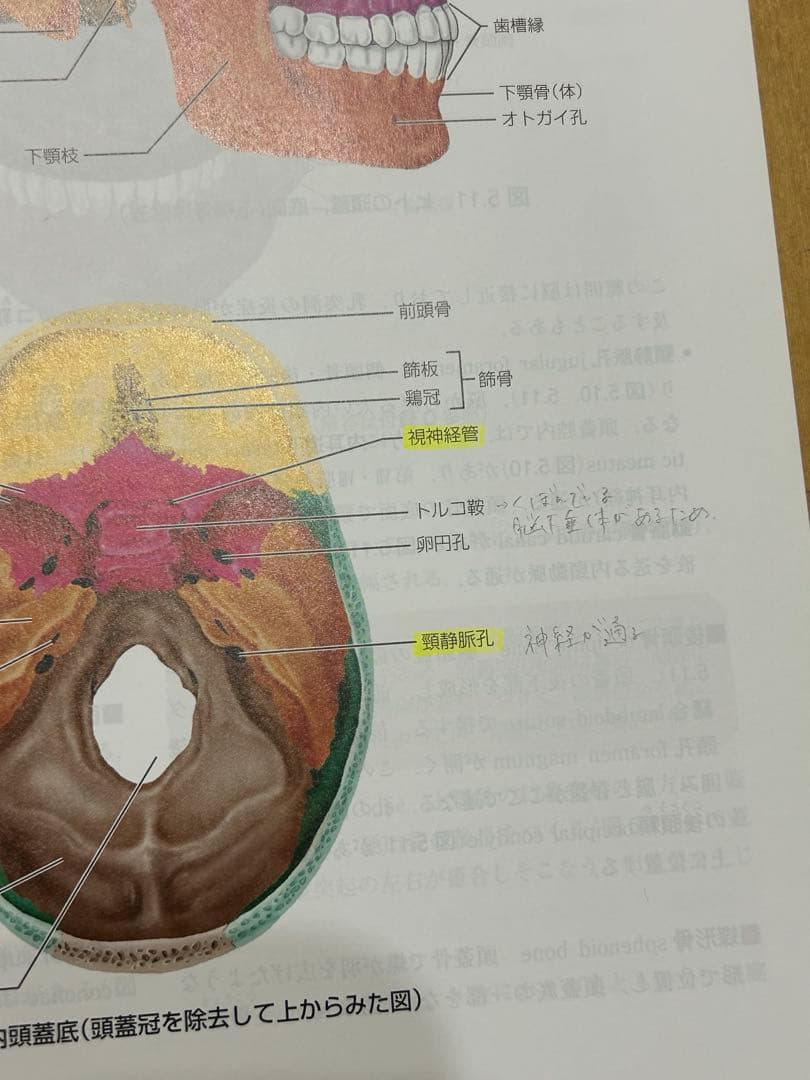 看護　教科書　参考書　まとめ売り