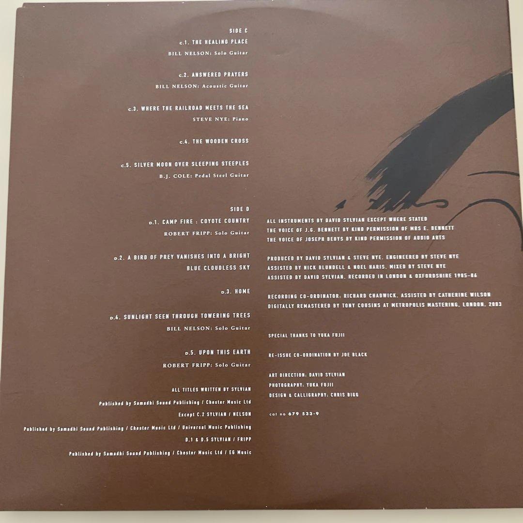 デヴィッド・シルヴィアン　ゴーン・トゥ・アース　2枚組　LP 輸入盤