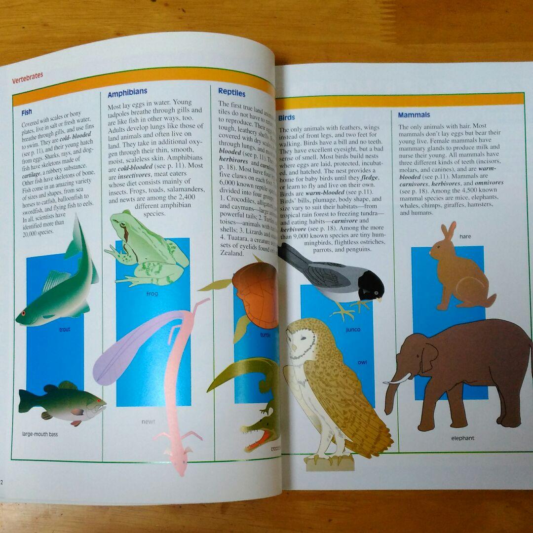 英語圏小学校使用テキスト(６冊)