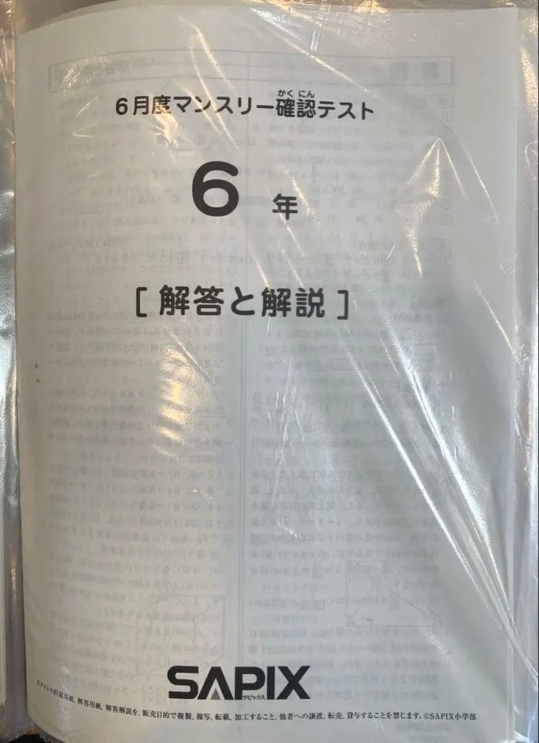 【るりま様】SAPIX 6年生 2023年度 マンスリー・組分け他テストセット