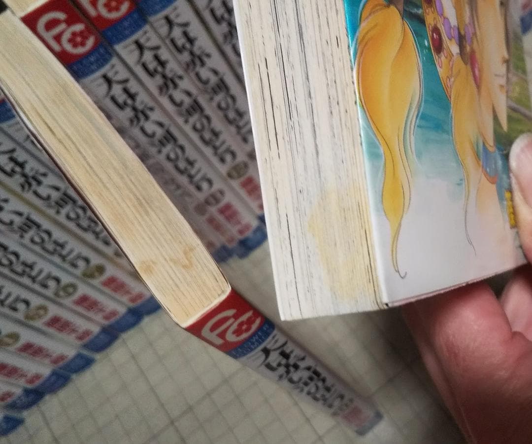 天は赤い河のほとり 全28巻 完結 篠原千絵 フラワーコミックス