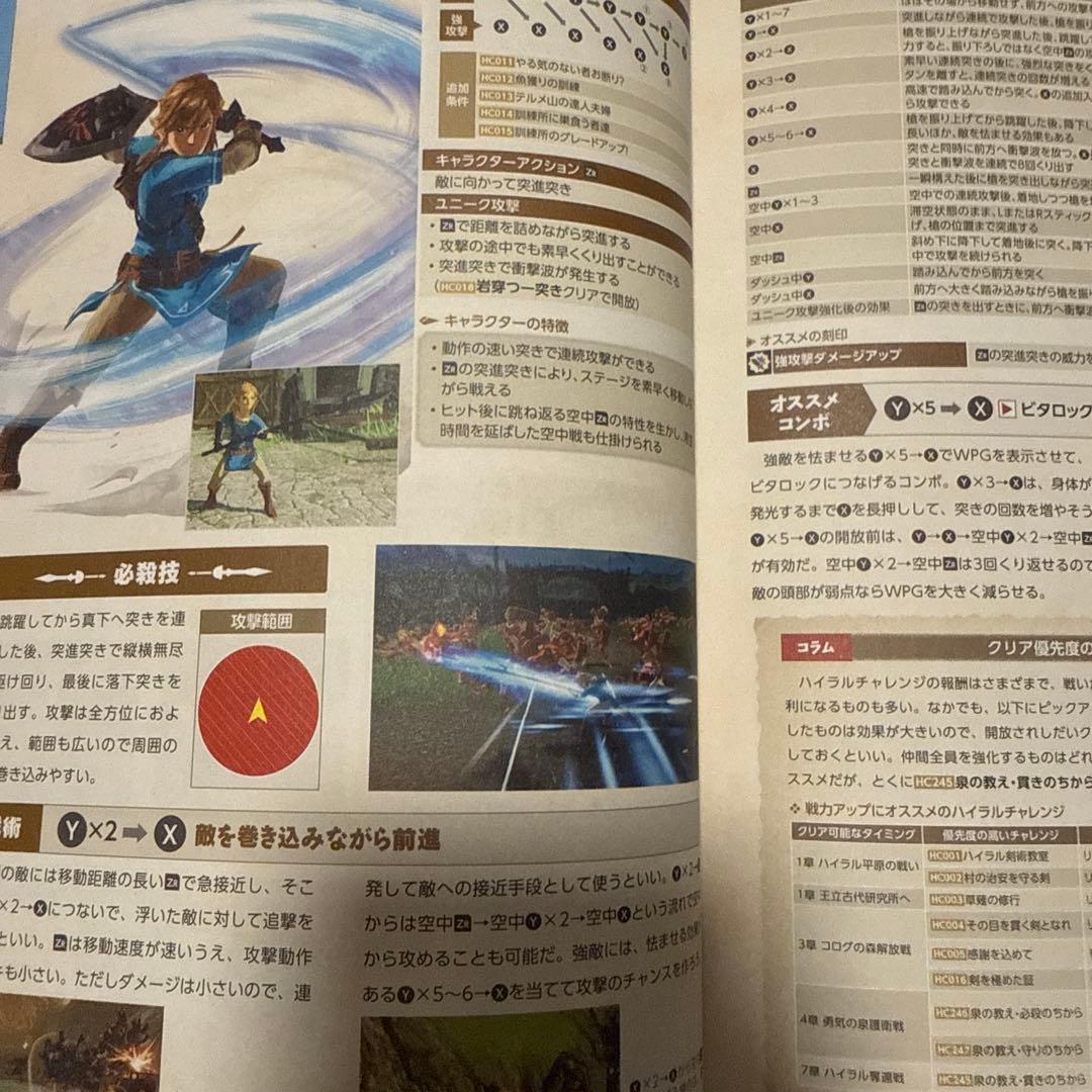 ゼルダ無双 厄災の黙示録