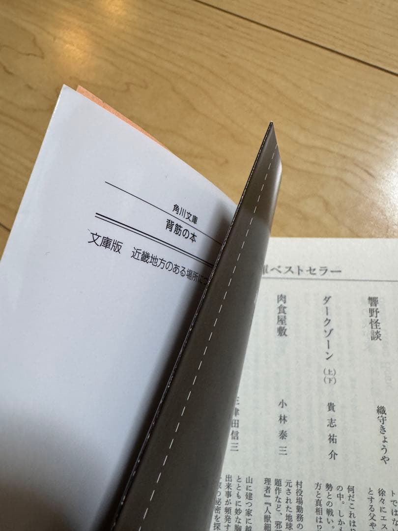 右園死児2冊・堕ちた儀式・イシナガキクエ・あしか汁・近畿地方・おまけ冊子の計7点