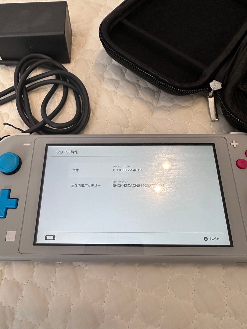 Nintendo Switch Lite グレー 充電器・ケース付き