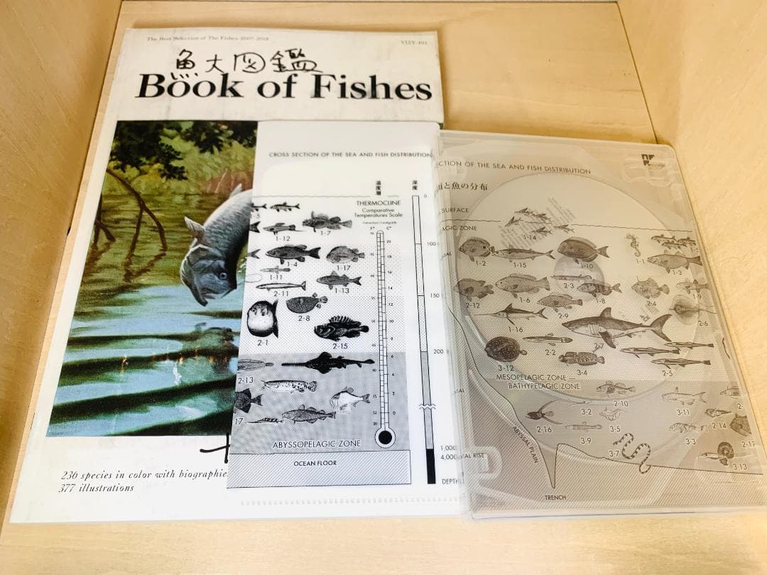 サカナクション「魚図鑑」プレミアム BOX 3CD+魚大図鑑 +特典 ベスト