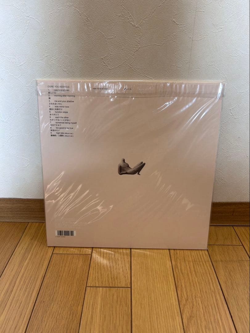 OGRE YOU ASSHOLE /新しい人　レコード LP