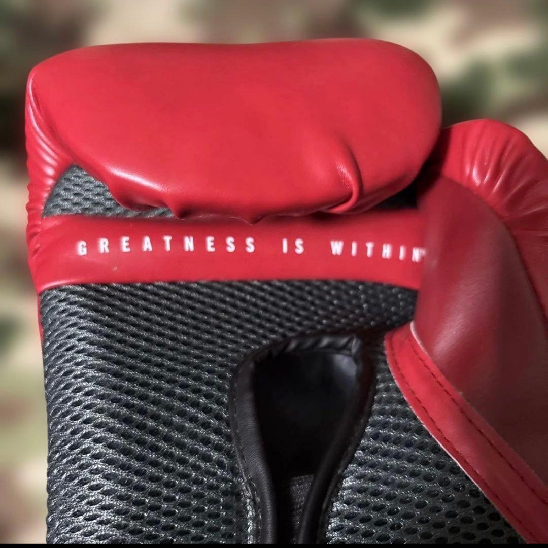 美品　EVERLAST エバーラスト　ボクシング グローブ　16oz