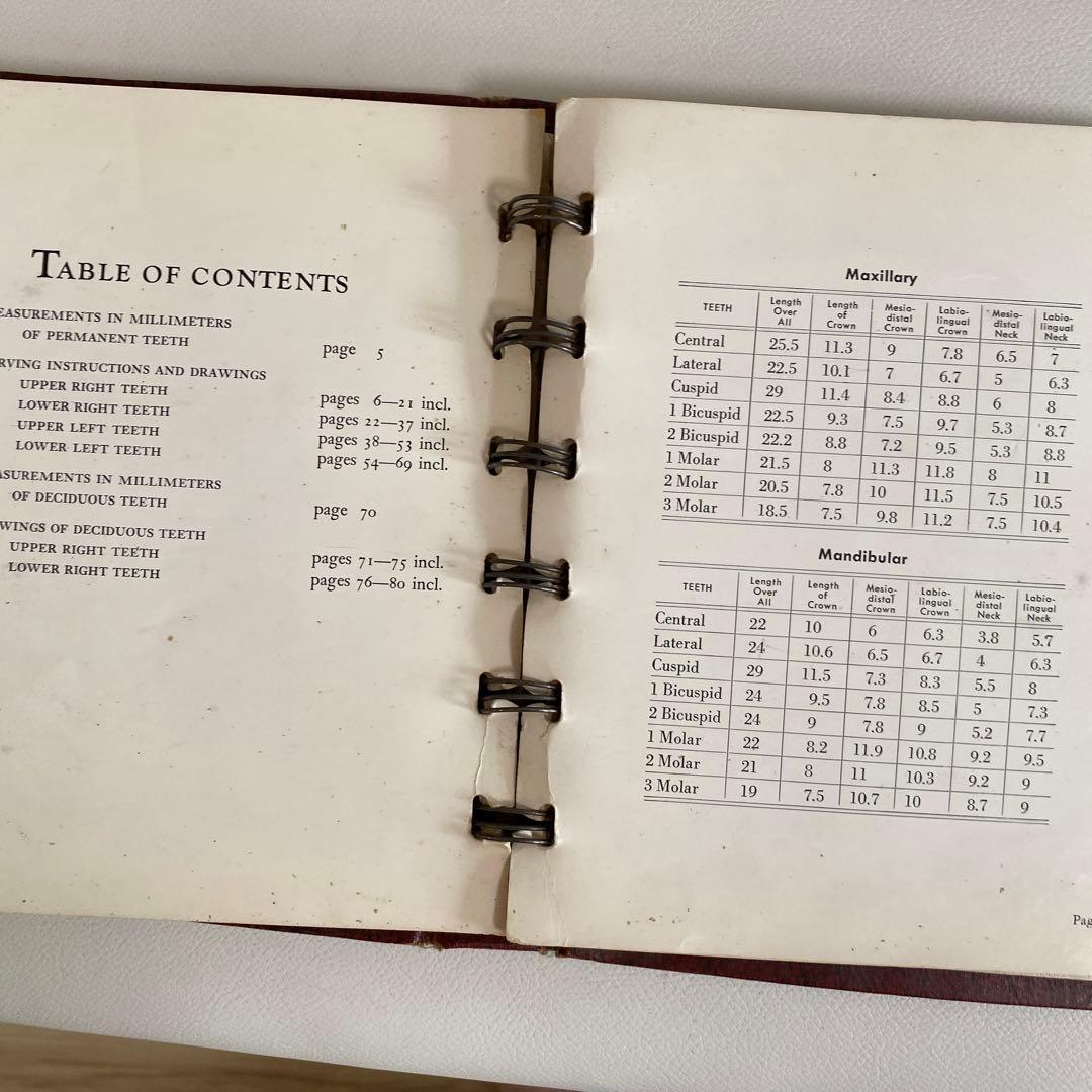 1948-49年 米国歯科 カービング教材 完品