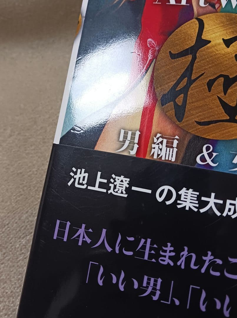 池上遼一 Art Works 男編&女編