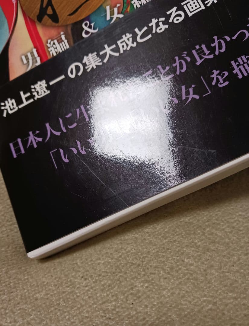 池上遼一 Art Works 男編&女編