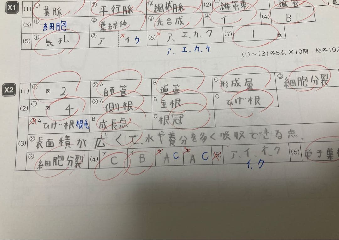 サピックス6年　理科　GS SS特訓　時事演習XYZ 夏期集中錬成 ウィークリー