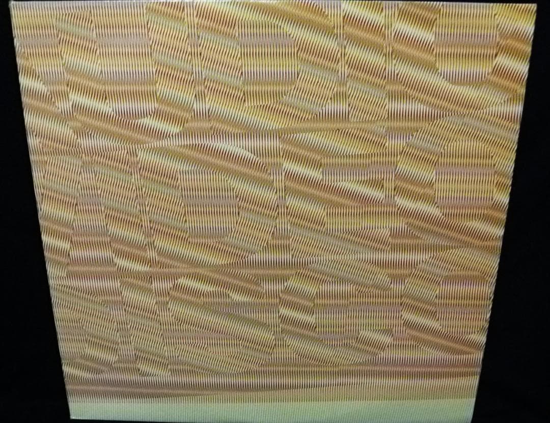 未使用 Audio Video Disco / レコード