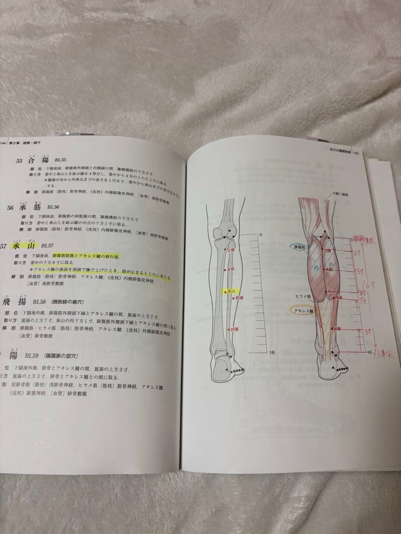 鍼灸 教科書 14点セット バラ売り可