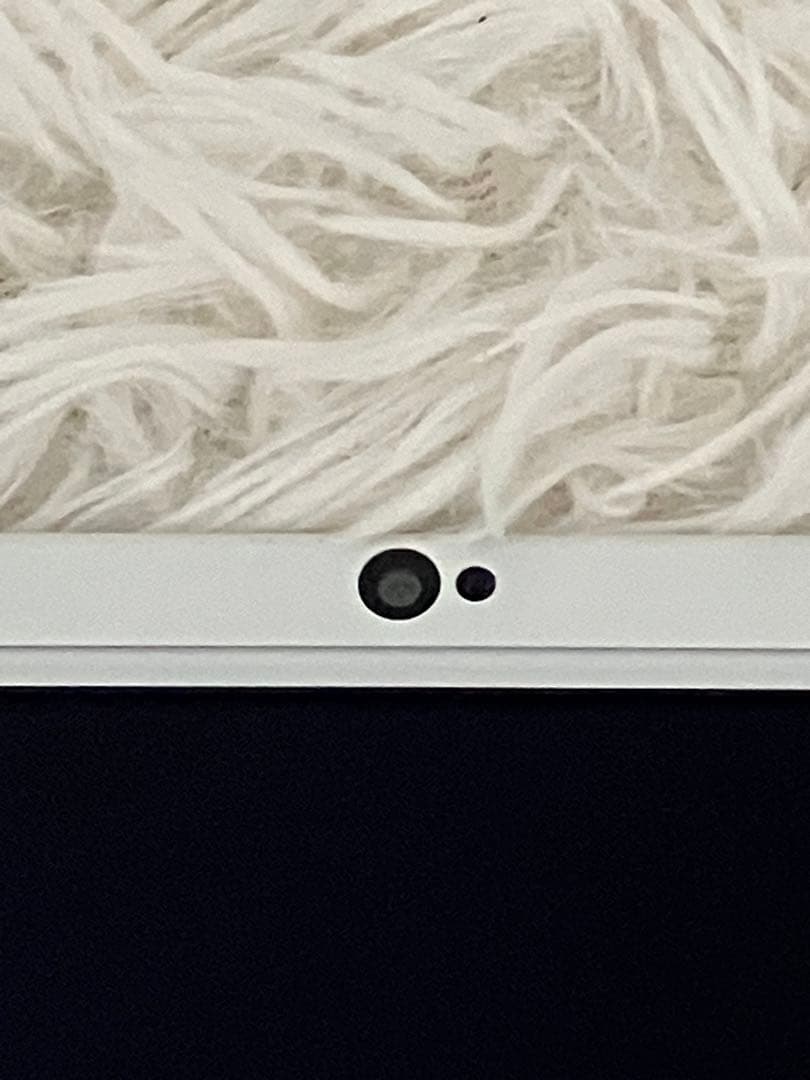 3DS LL ホワイト　電源付きます。