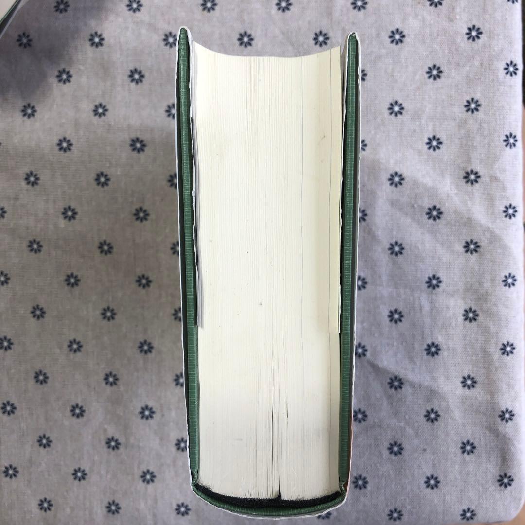 日本幻想作家事典　国書刊行会　石堂藍