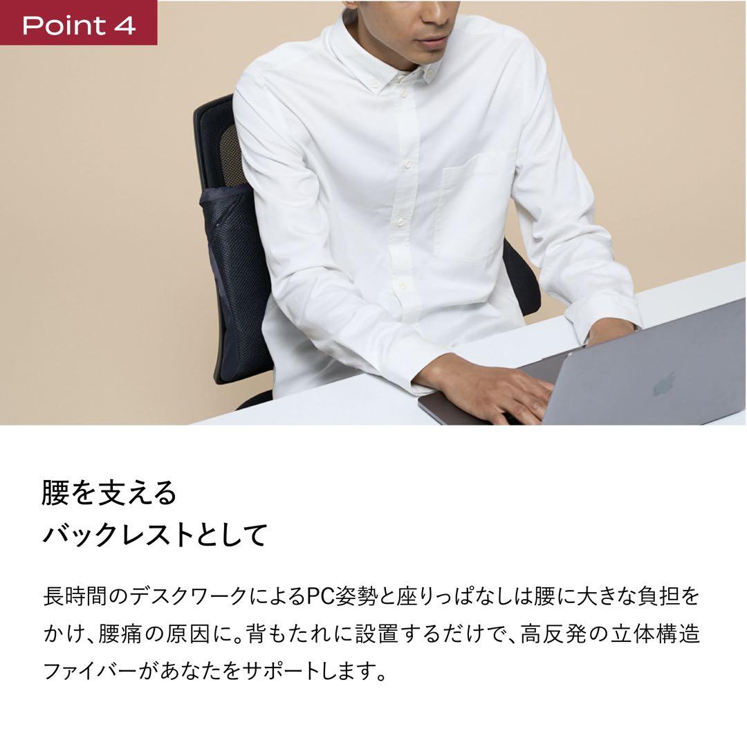 Brain Sleep Pillow ブレインスリープ ピロー ポータブル