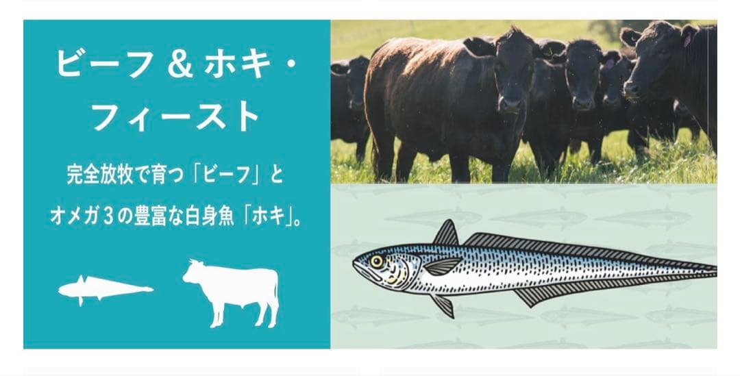 じゅ！K9ナチュラル ビーフ＆ホキ(白身魚)➕キングサーモン
