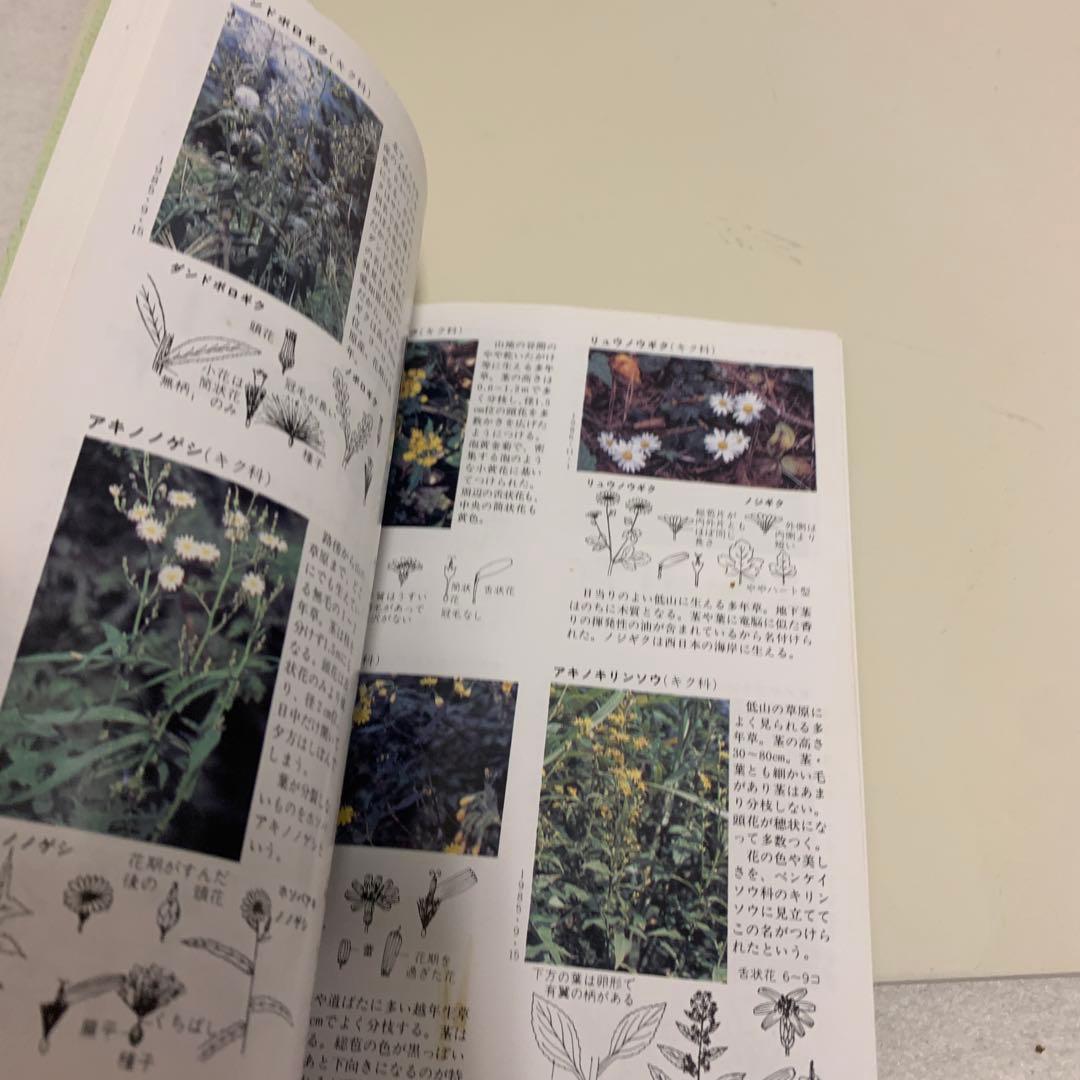 花のハイキング 高尾 陣馬　古書　希少　激レア