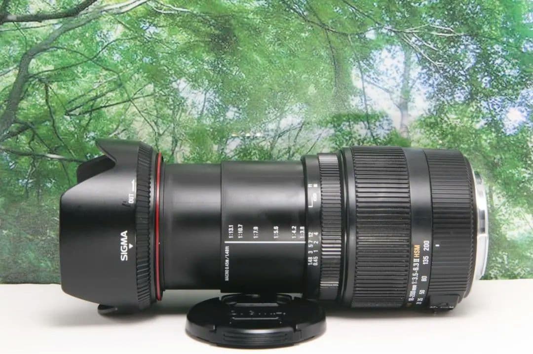 ❤手ぶれ補正して遠くも近くも撮れる☆シグマ 18-200mm DC キャノン用❤