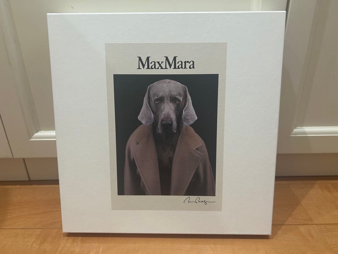 美品 Max Mara マックスマーラCIPRIA ロゴTシャツ 犬