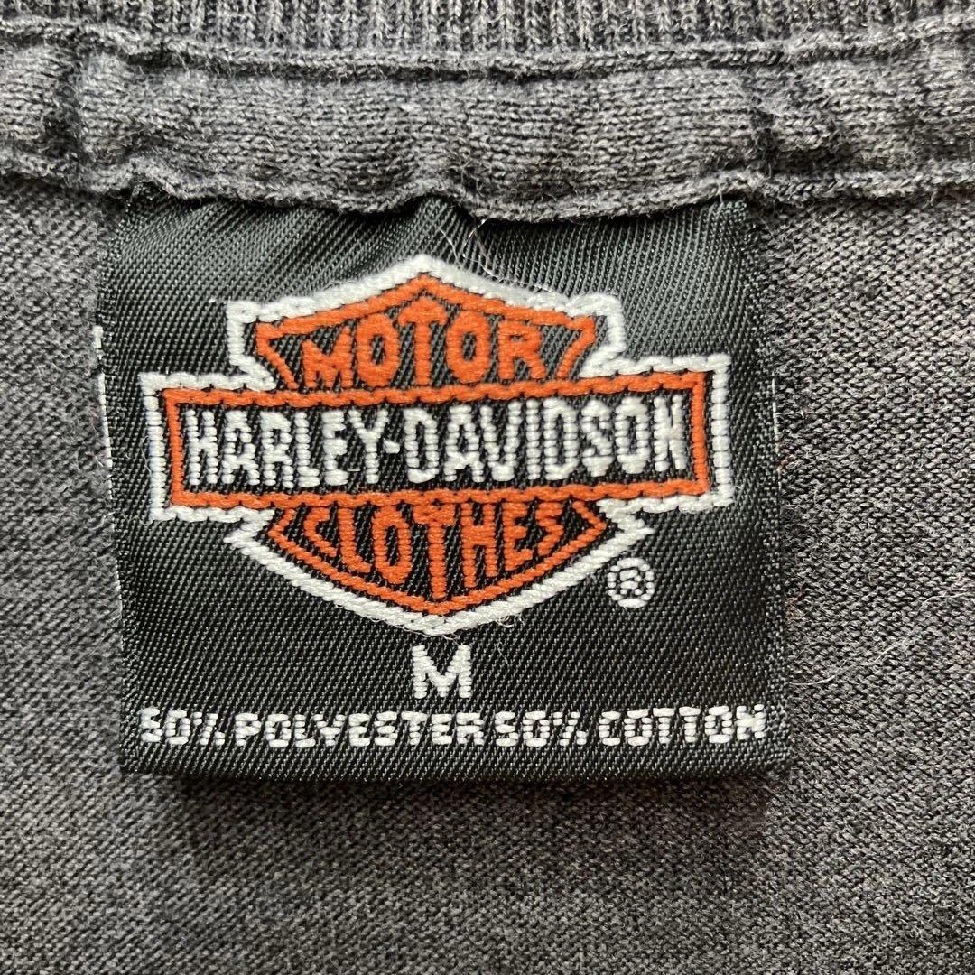 80s USA製 HARLEY-DAVIDSON THE LONE WOLF