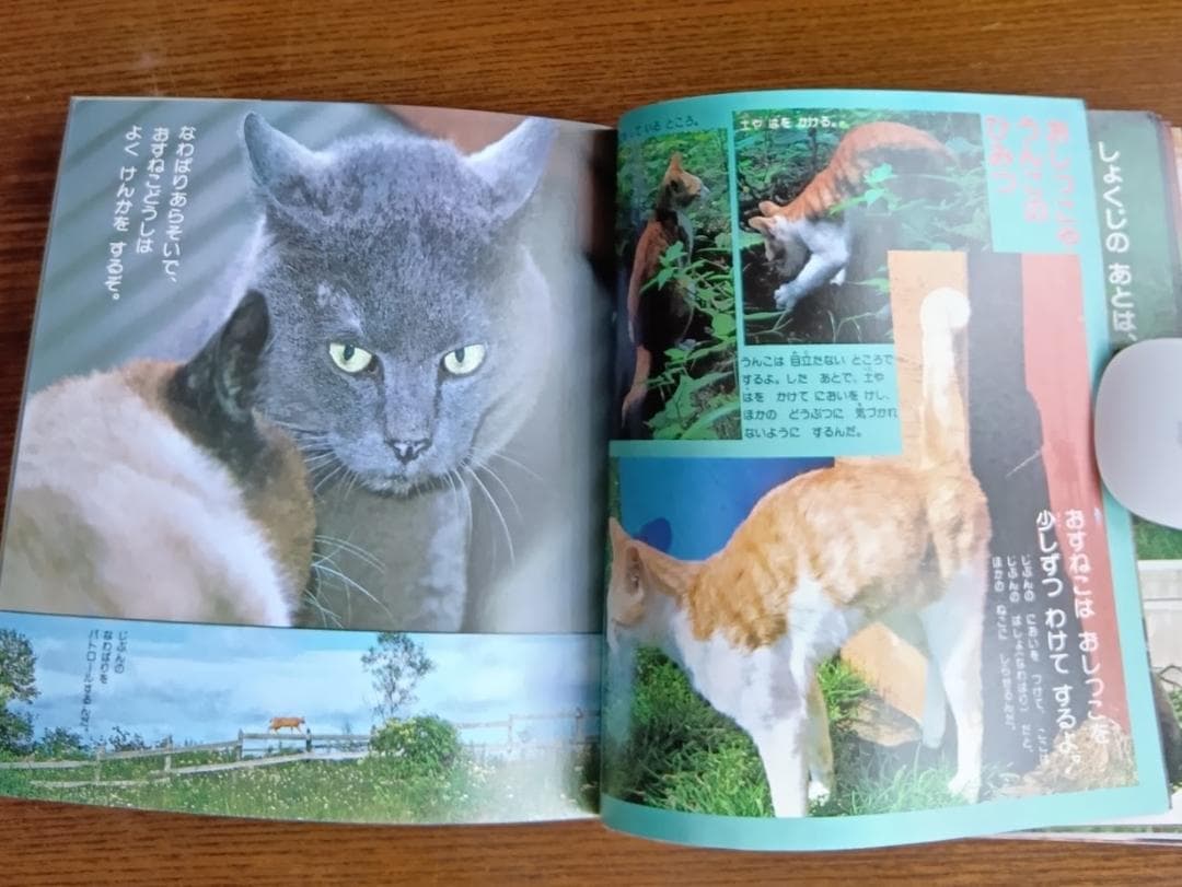 ねこ 小学館こども文庫　科学シリーズ　⑨ (1982年)
