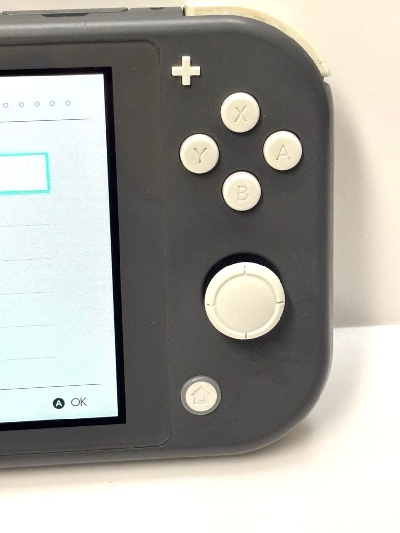 Nintendo Switch Lite グレー 本体・保護フィルム