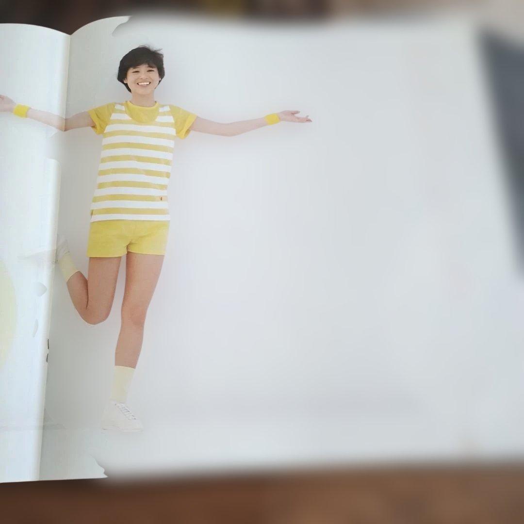 パイナップル　松田聖子レコード盤LP