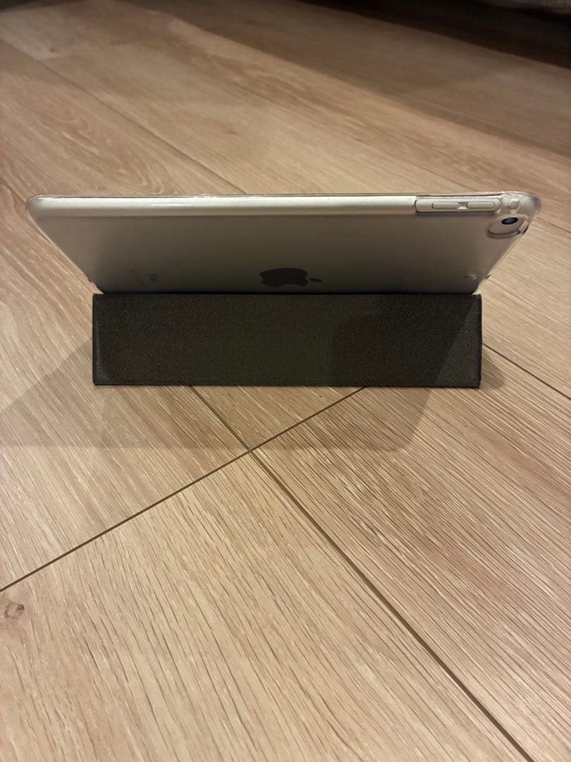 <22日まで値下げ中>iPad mini5 256GB スペースグレイ