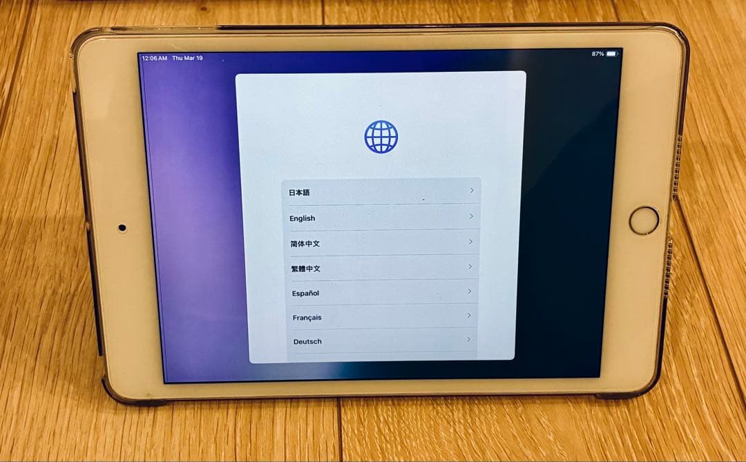 <22日まで値下げ中>iPad mini5 256GB スペースグレイ