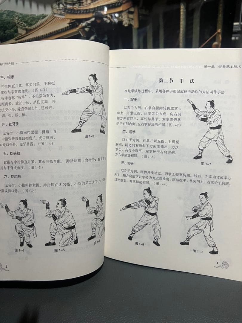中国武術 カンフー少林寺 蛇拳 教本激レア！