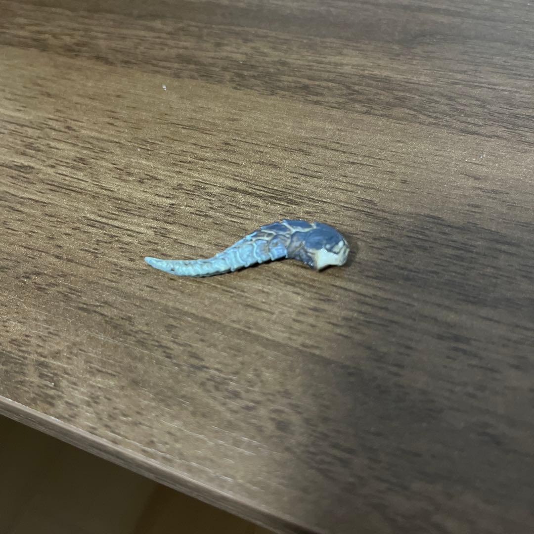 モンスターハンター ミラボレアス フィギュア