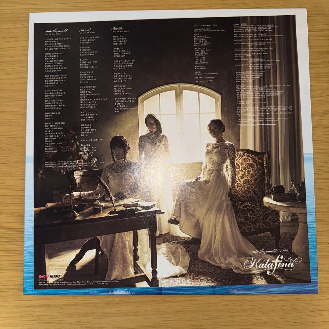 into the world /メルヒェン[完全生産限定アナログ盤]