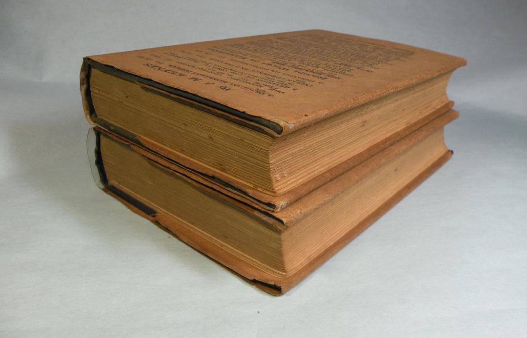 Keynes “A Treatise on Money\" 1st-ed.
