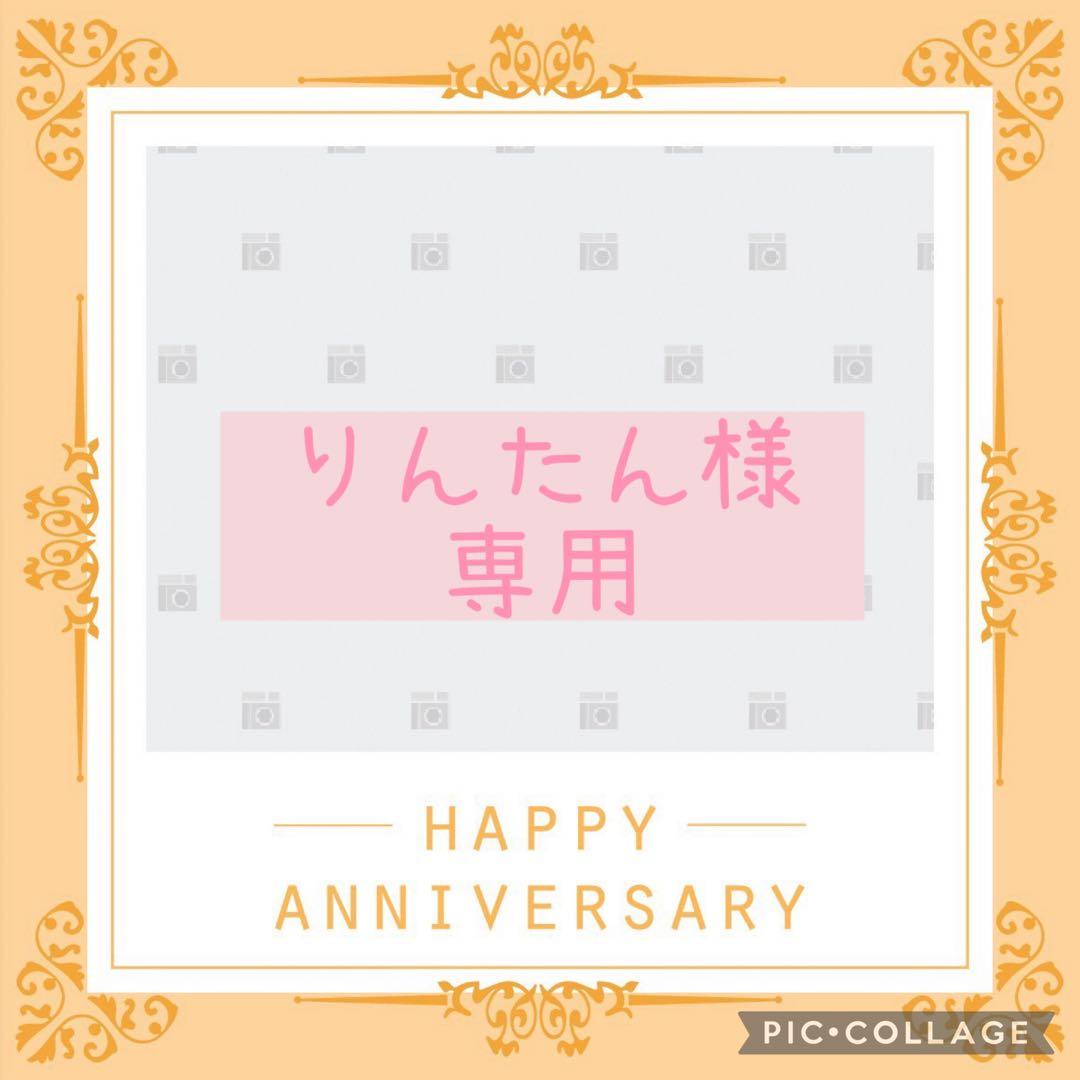 りんたんページ トイプードル ウェディング