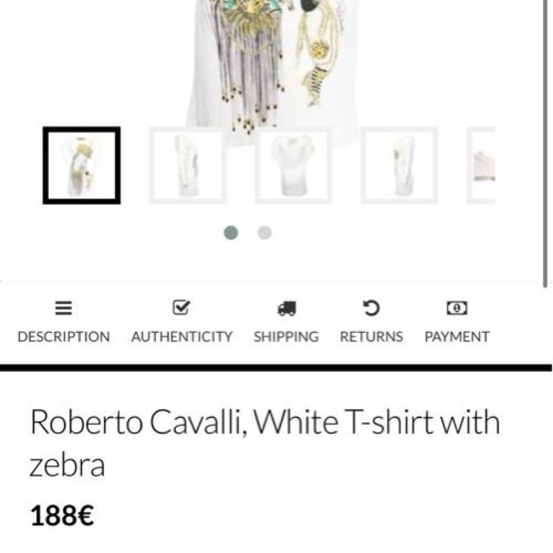 【美品】ロベルトカヴァリ 半袖Tシャツ ゼブラ スタッズ L イタリア製