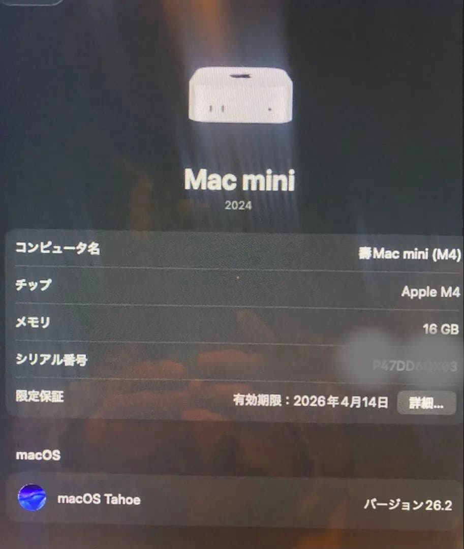 保証付❣️ Apple Mac mini M4 /16GB / SSD 256GB
