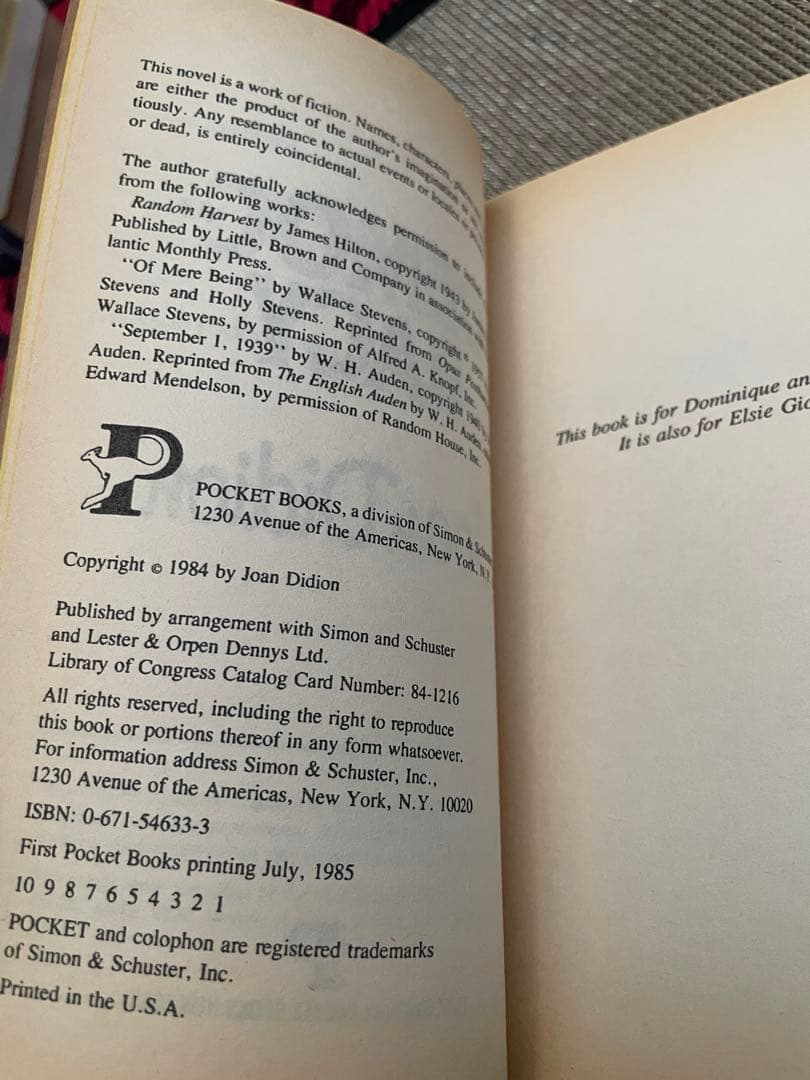 希少　Joan Didion Democracy