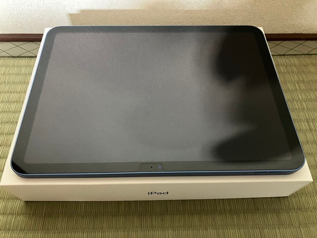 iPad (A16) 128GB Wi-Fi ブルー