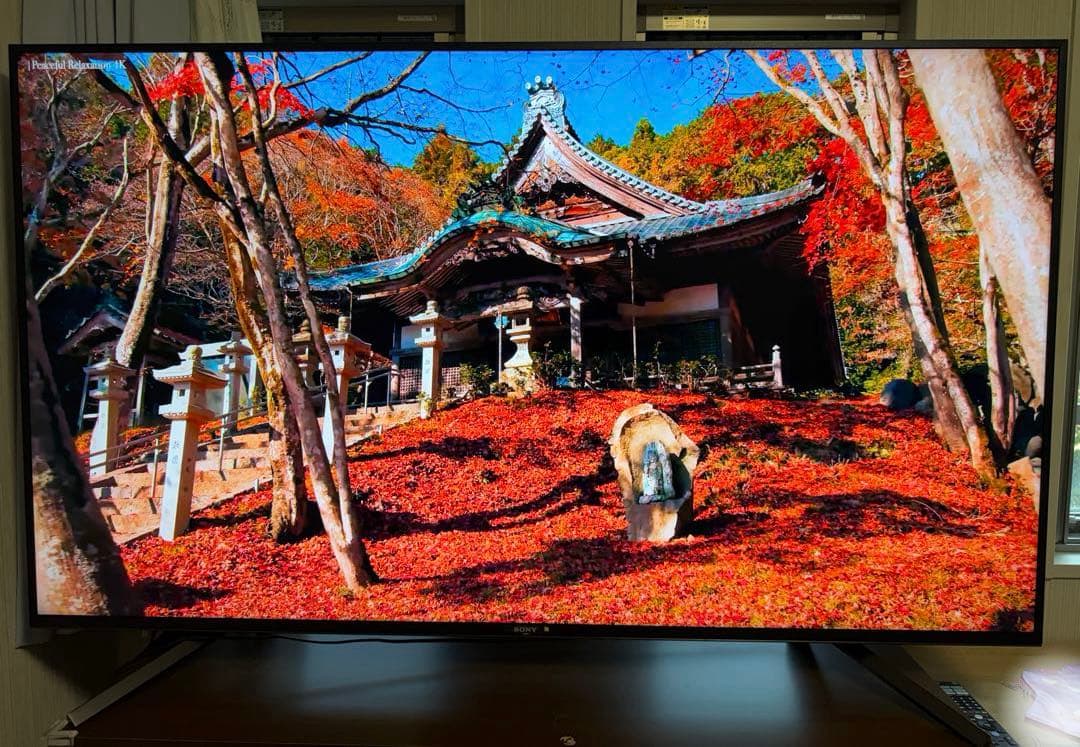 ソニー BRAVIA KJ-65Z9F