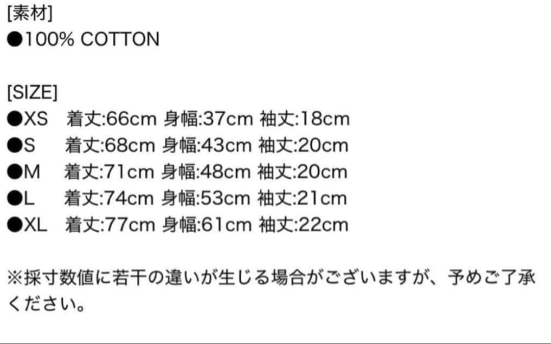 POLO RALPH LAUREN Tシャツ　ブラック