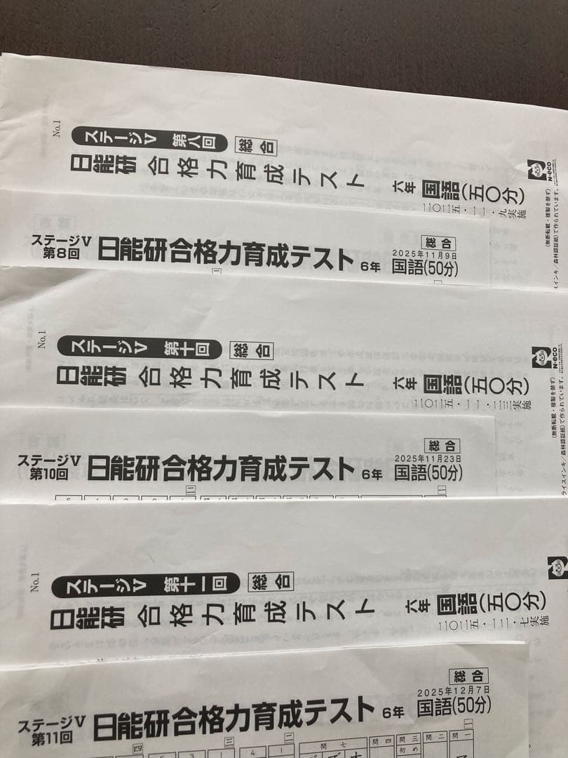 日能研　2025年　6年　後期　育成テスト　実践テスト