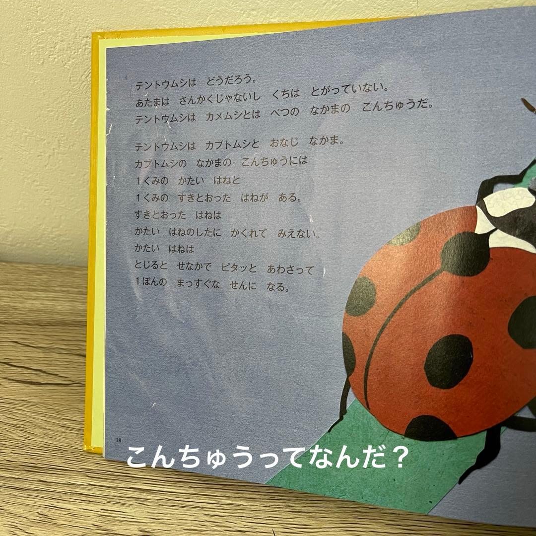 みつけようかがくシリーズ　12冊　絵本まとめ売り　絵本セット　5歳〜小学生