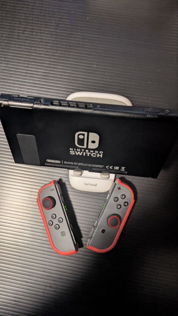Nintendo Switch本体 グレー 【初期型】純正プロコン+付属備品多数